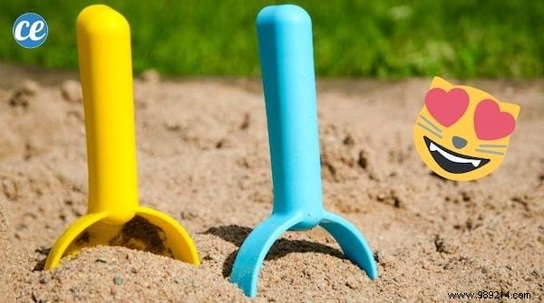 9 Proven, Humane Ways to Keep Cats Out of Your Garden Permanently