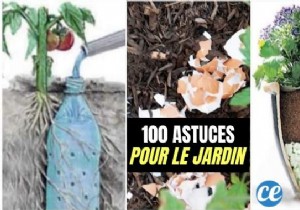 101 Proven Garden Hacks: Expert Tips to Simplify and Supercharge Your Gardening