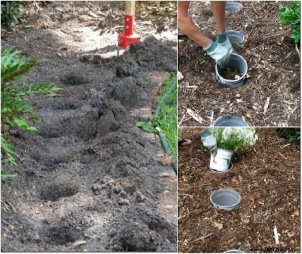 101 Proven Garden Hacks: Expert Tips to Simplify and Supercharge Your Gardening