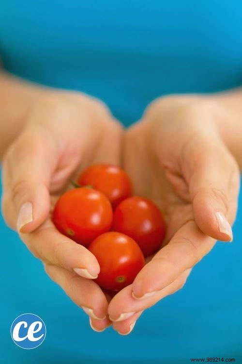 23 Proven Tips for Growing Abundant Tomatoes on Your Balcony