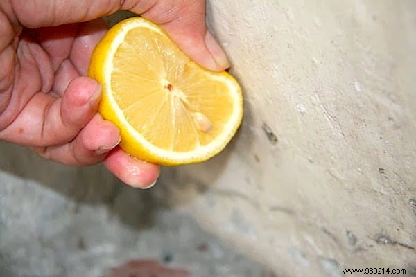 Proven Lemon Trick to Naturally Repel Ants from Your Home – No Chemicals or Killing Required