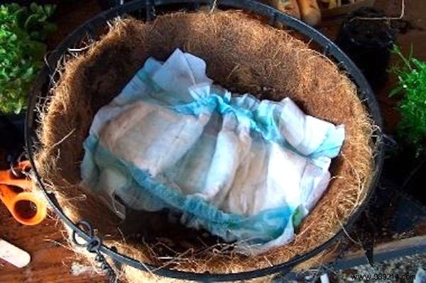 15 Expert Gardening Tips and Tricks Pros Swear By for Stunning Results