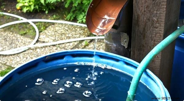 15 Expert Gardening Tips and Tricks Pros Swear By for Stunning Results