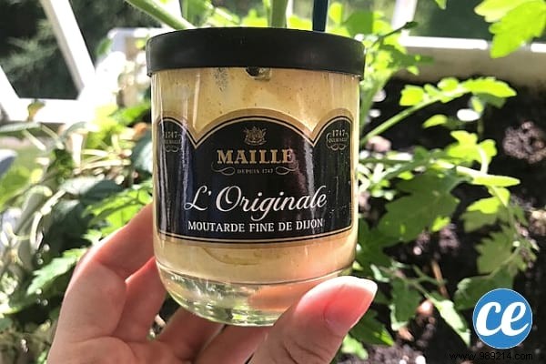 15 Expert Gardening Tips and Tricks Pros Swear By for Stunning Results