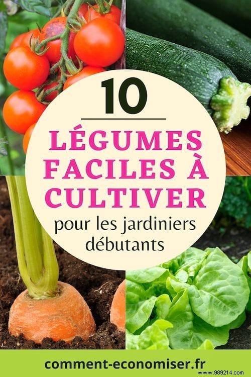 10 Foolproof Vegetables for Beginner Gardeners: Start Harvesting Success