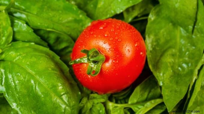 5 Expert Gardening Tips to Simplify Your Routine