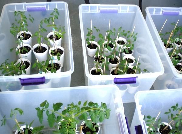 10 Proven DIY Mini Greenhouse Ideas Using Free Recycled Materials