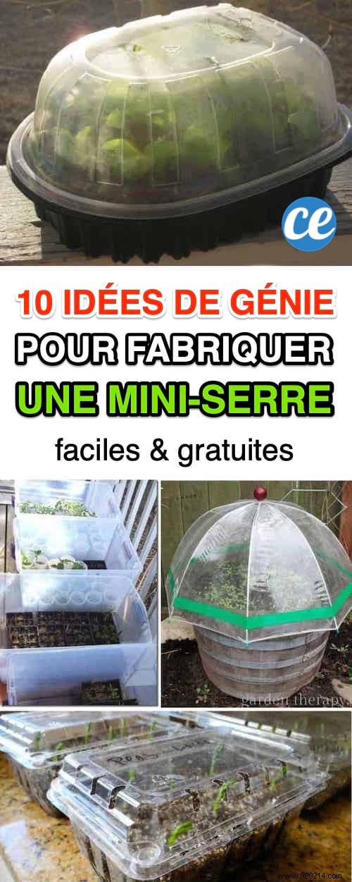 10 Proven DIY Mini Greenhouse Ideas Using Free Recycled Materials