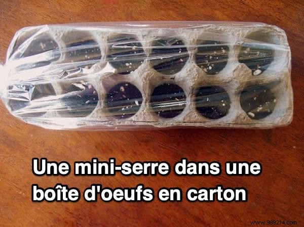 10 Proven DIY Mini Greenhouse Ideas Using Free Recycled Materials