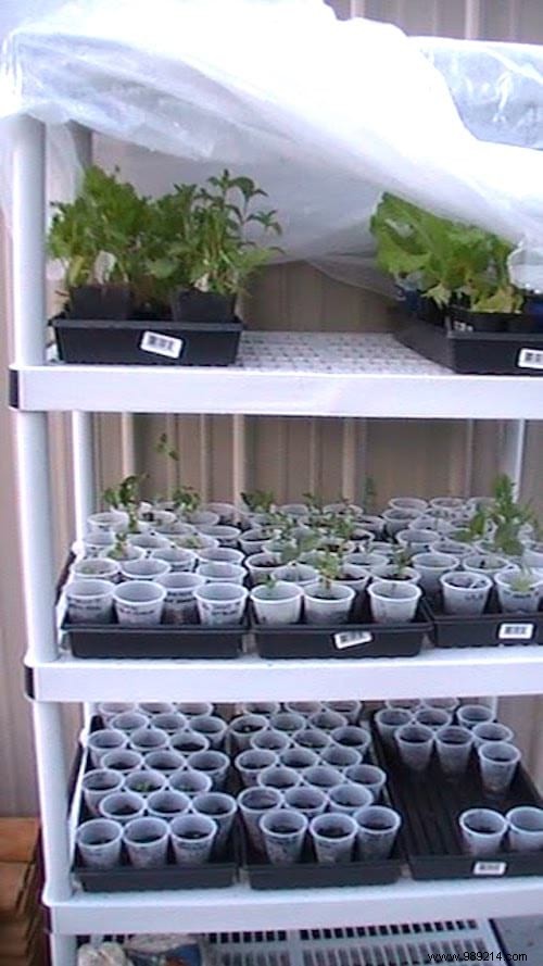 10 Proven DIY Mini Greenhouse Ideas Using Free Recycled Materials