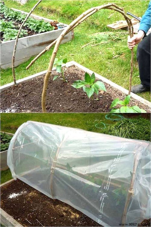 10 Proven DIY Mini Greenhouse Ideas Using Free Recycled Materials