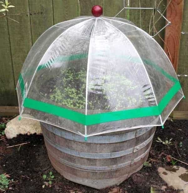 10 Proven DIY Mini Greenhouse Ideas Using Free Recycled Materials