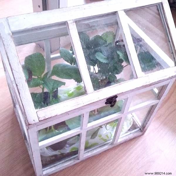 10 Proven DIY Mini Greenhouse Ideas Using Free Recycled Materials