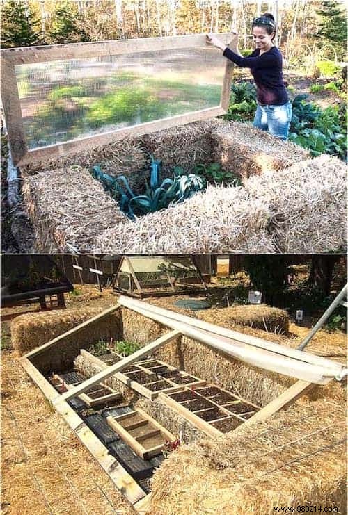 10 Proven DIY Mini Greenhouse Ideas Using Free Recycled Materials