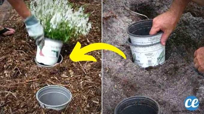 Pot-in-Pot Gardening Hack: Effortlessly Relocate Plants Season to Season