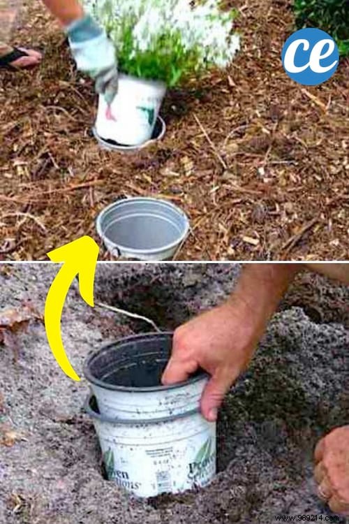 Pot-in-Pot Gardening Hack: Effortlessly Relocate Plants Season to Season