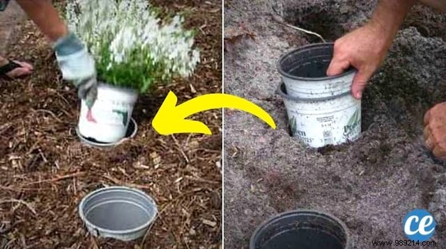 Pot-in-Pot Gardening Hack: Effortlessly Relocate Plants Season to Season