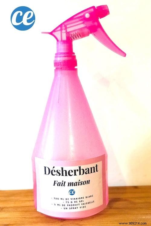 DIY Organic Weed Killer: My Proven 3-Ingredient Recipe for Effective Control