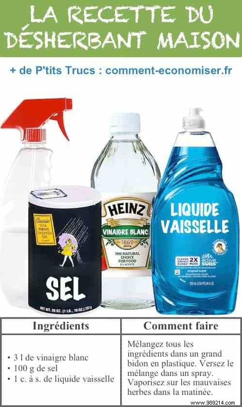 DIY Organic Weed Killer: My Proven 3-Ingredient Recipe for Effective Control