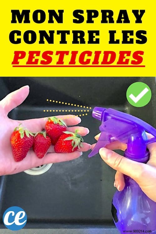 Effective Homemade Spray to Remove Pesticides from Fruits and Vegetables Like Strawberries, Apples, and Tomatoes