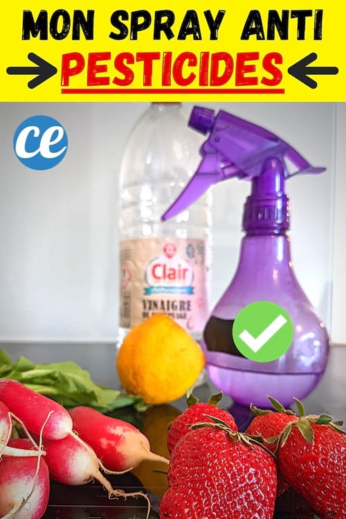Effective Homemade Spray to Remove Pesticides from Fruits and Vegetables Like Strawberries, Apples, and Tomatoes