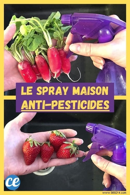 Effective Homemade Spray to Remove Pesticides from Fruits and Vegetables Like Strawberries, Apples, and Tomatoes