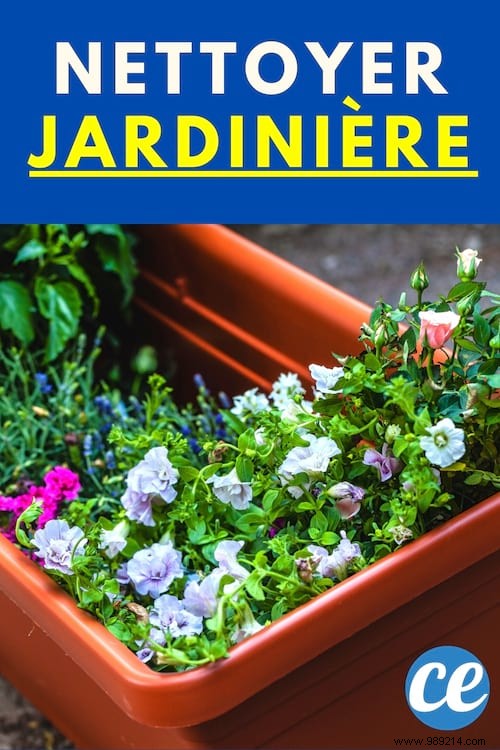 How to Clean and Disinfect Plastic Planters: Simple Natural Method