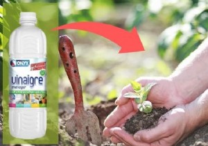 17 Proven Ways to Use White Vinegar in Your Garden: Natural Solutions for Weeds, Pests, and More