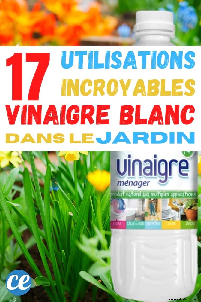 17 Proven Ways to Use White Vinegar in Your Garden: Natural Solutions for Weeds, Pests, and More