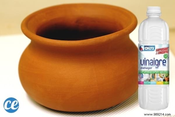 17 Proven Ways to Use White Vinegar in Your Garden: Natural Solutions for Weeds, Pests, and More