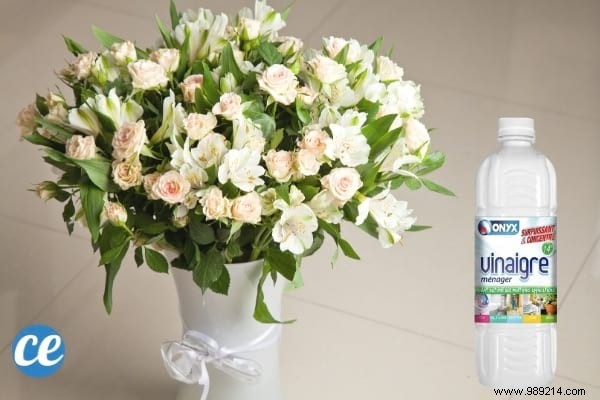 17 Proven Ways to Use White Vinegar in Your Garden: Natural Solutions for Weeds, Pests, and More