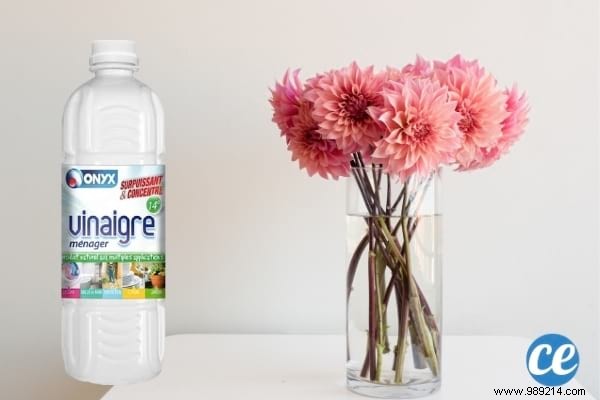 17 Proven Ways to Use White Vinegar in Your Garden: Natural Solutions for Weeds, Pests, and More