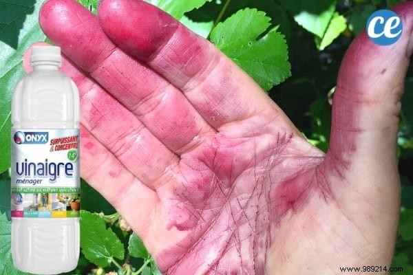 17 Proven Ways to Use White Vinegar in Your Garden: Natural Solutions for Weeds, Pests, and More