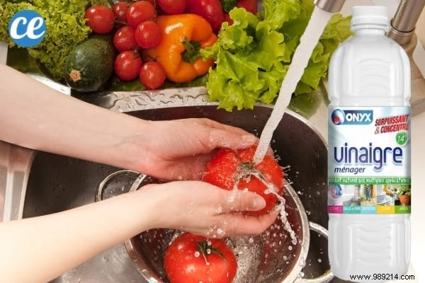 17 Proven Ways to Use White Vinegar in Your Garden: Natural Solutions for Weeds, Pests, and More