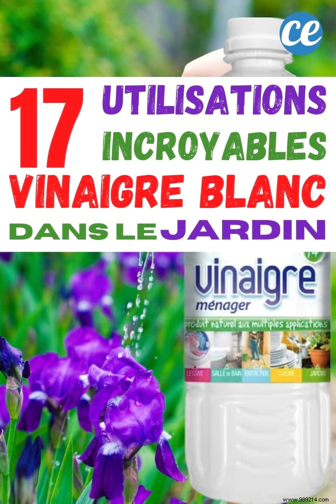 17 Proven Ways to Use White Vinegar in Your Garden: Natural Solutions for Weeds, Pests, and More