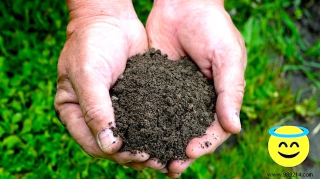 How Touching Soil Acts as a Natural Antidepressant: Science-Backed Benefits