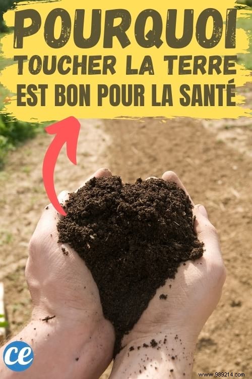 How Touching Soil Acts as a Natural Antidepressant: Science-Backed Benefits