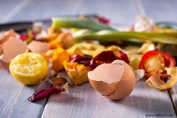 10 Proven Natural and Free Fertilizers for a Thriving Garden