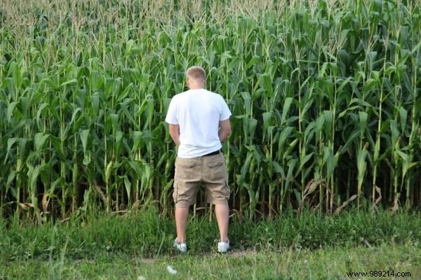 10 Proven Natural and Free Fertilizers for a Thriving Garden