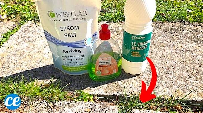 Proven 3-Ingredient Natural Weed Killer for Driveways and Paths