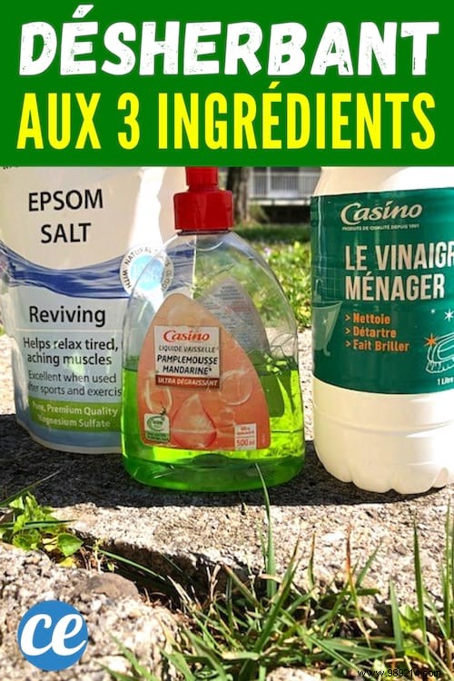 Proven 3-Ingredient Natural Weed Killer for Driveways and Paths
