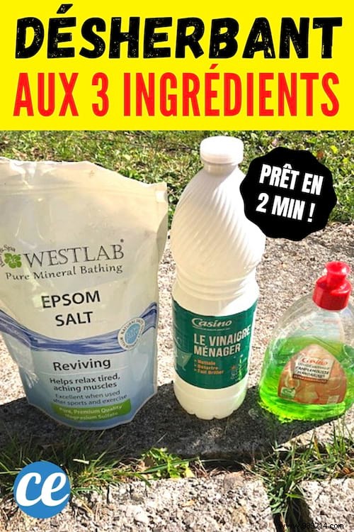 Proven 3-Ingredient Natural Weed Killer for Driveways and Paths