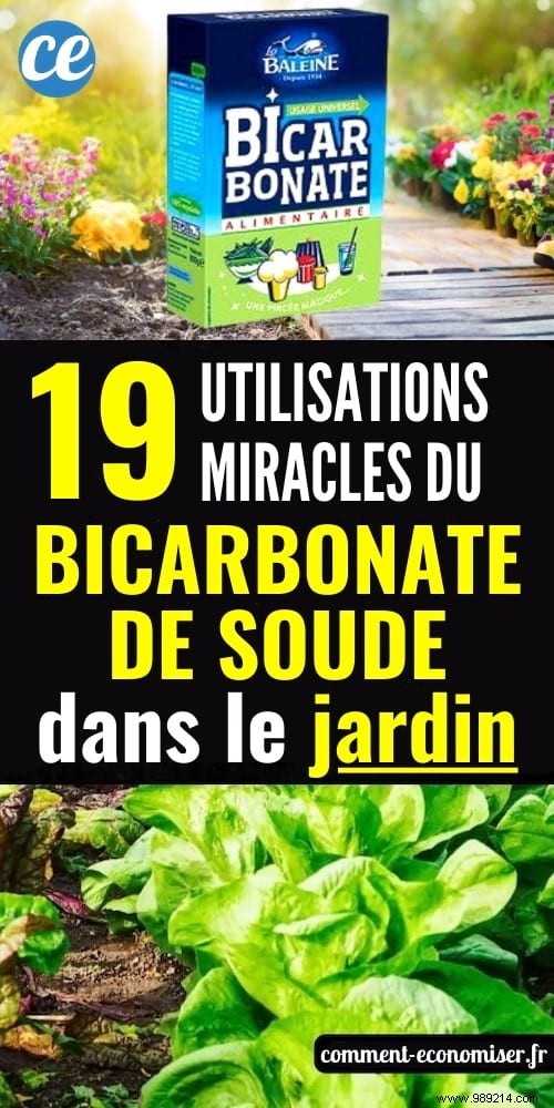 19 Proven Baking Soda Uses for a Healthier Garden: Pest Control, Sweeter Tomatoes & More