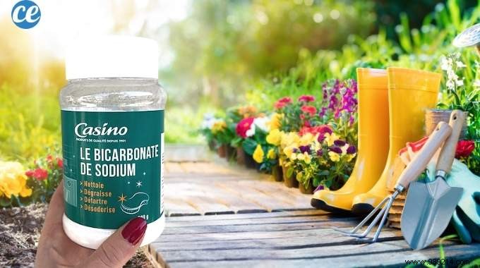 19 Proven Baking Soda Uses for a Healthier Garden: Pest Control, Sweeter Tomatoes & More