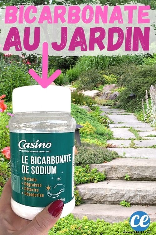 19 Proven Baking Soda Uses for a Healthier Garden: Pest Control, Sweeter Tomatoes & More
