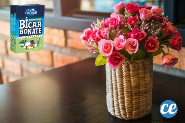 19 Proven Baking Soda Uses for a Healthier Garden: Pest Control, Sweeter Tomatoes & More