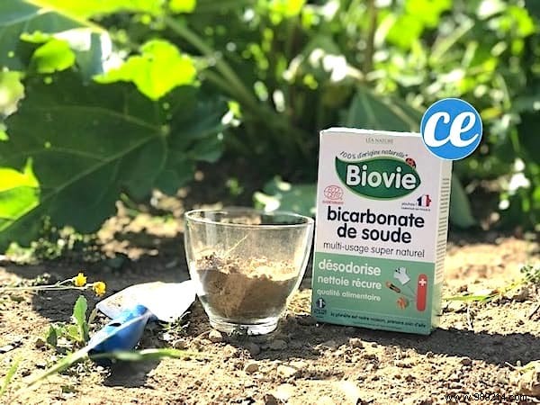 19 Proven Baking Soda Uses for a Healthier Garden: Pest Control, Sweeter Tomatoes & More