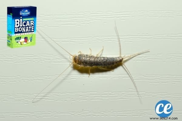 19 Proven Baking Soda Uses for a Healthier Garden: Pest Control, Sweeter Tomatoes & More