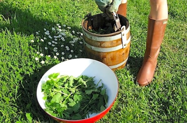 8 Proven Natural Weed Killers: Safe, Eco-Friendly Garden Tips from Years of Experience