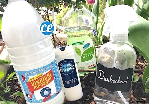 8 Proven Natural Weed Killers: Safe, Eco-Friendly Garden Tips from Years of Experience